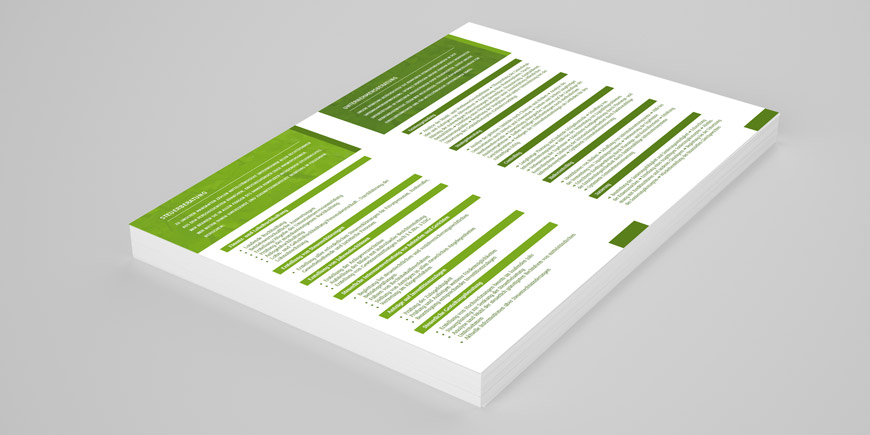 Annerose Pille Flyer
