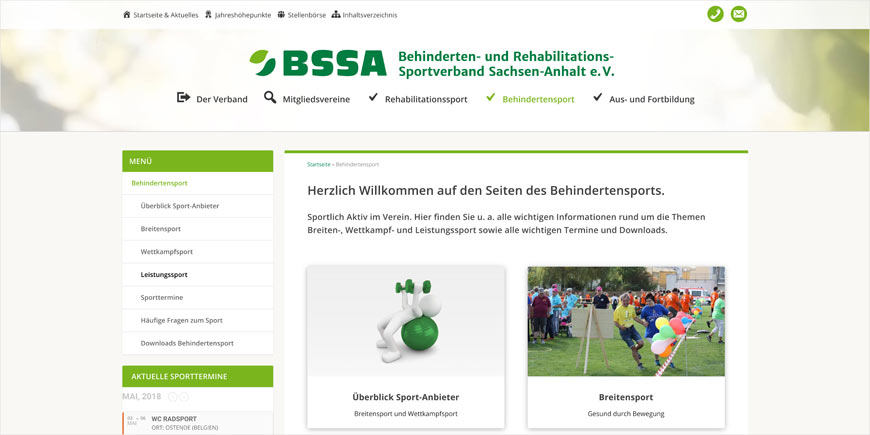 BSSA Screenshot 2